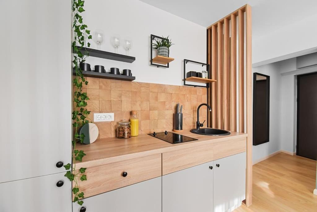 Mysa Modern Studio * Near Cismigiu Park * Netflix Bukurešť Exteriér fotografie