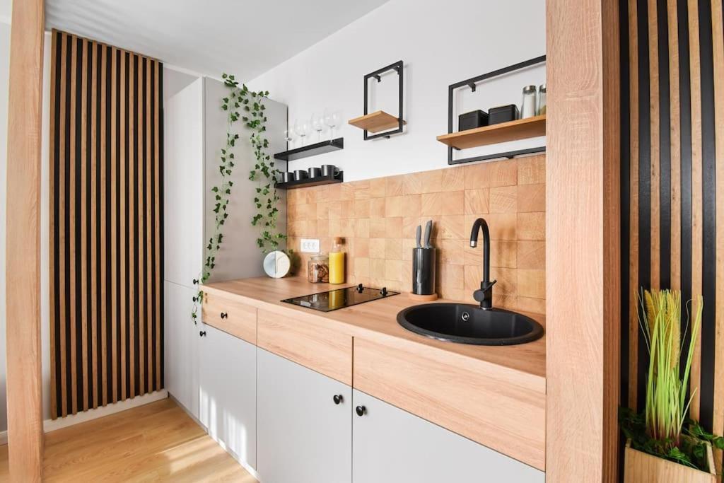 Mysa Modern Studio * Near Cismigiu Park * Netflix Bukurešť Exteriér fotografie